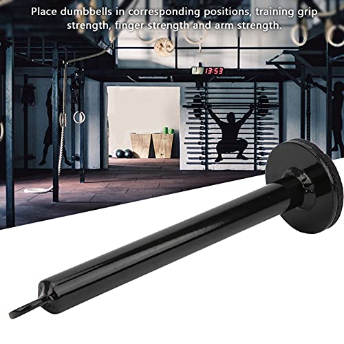 HERCHR Weight pins for Weight Stack Machine, Loading pin for Weight Plates Fitness Equipment Accessory Barbell Support for Cable Pulley System (20 Diameter * 220 mm) - size: 20 diameter * 220 mm